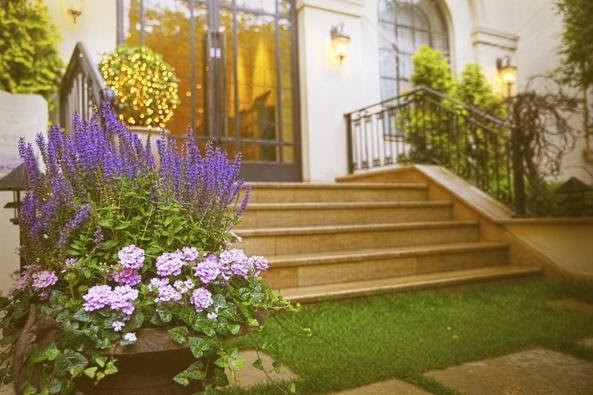 flowers and stair